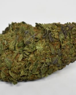 $200 QP Bundle *LIMITED*