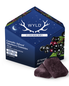 Elderberry 2:1 Indica Enhanced + CBN Gummies | 100mg | 10ct | 10mg/ea
By WYLD