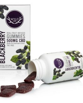 WYLD
Blackberry CBD Gummies | 20pk | 25mg/ea