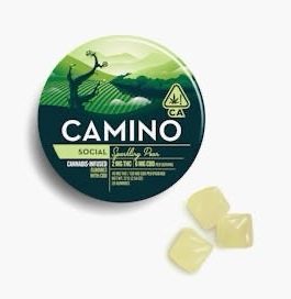 Camino | Sparkling Pear Gummies | THC:CBD 2:6 | 40mg | 20ct | 2mg/ea