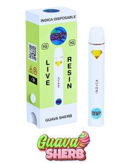 MOON DUST - New York
1G LIVE RESIN DISPOSABLE - GUAVA SHERB - INDICA