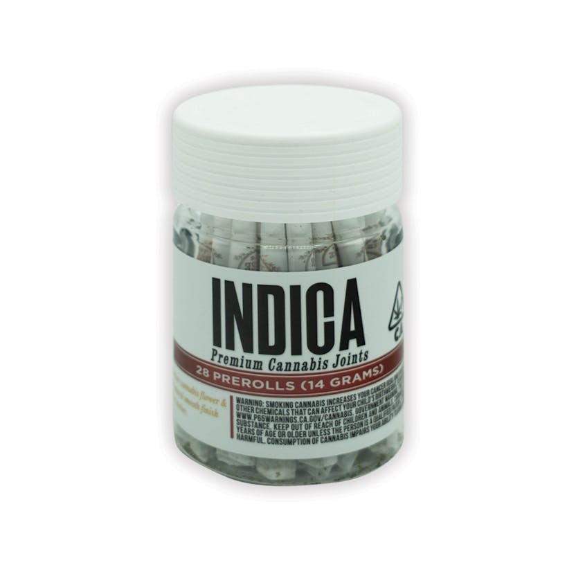 The Syndicate
HOUSE PACK - INDICA. pack of 3