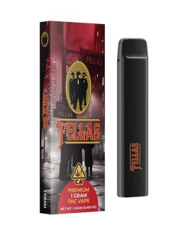 THE SYNDICATE | FELLAS ALL-IN-ONE 1G – WATERMELON SLUSHY | indica