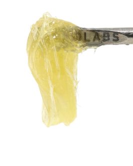 710 Labs
GG4 Persy Rosin 1g