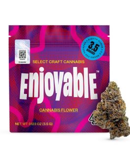 Enjoyable – Cannabis Flower – Bolo Runtz 3.5g| hybrid