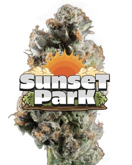 Jeeter | Sunset Park | Red Label Big Buds | 4g indica