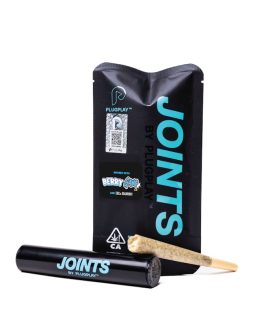 Infused Preroll – JOINTS™ by PLUGPLAY™: Berry Gang