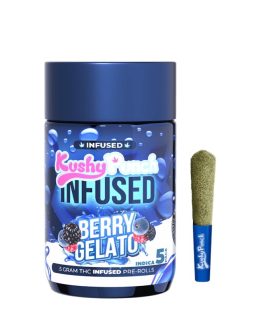 Kushy Punch
Berry Gelato | Infused Minis | 0.5g each | 5pk | Hybrid