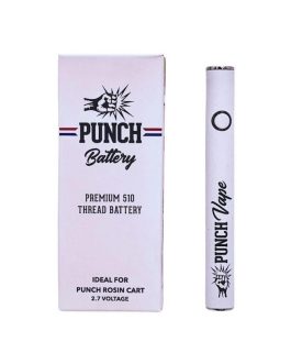 Punch Extracts Premium 510 Battery | Batteries