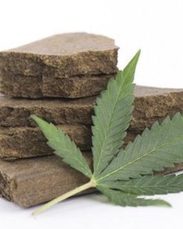 Traditional Premium Hashish