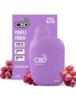 Purple Punch THC Vape Pen — 1500mg CBD + 10mg THC