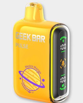 Geek Bar Disposable Vape