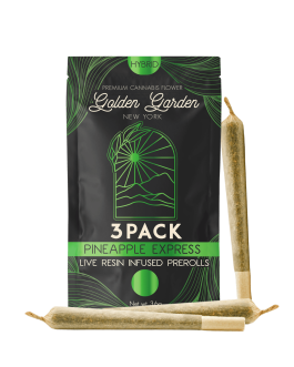 Golden Garden PINEAPPLE EXPRESS 3-PACK LIVE RESIN INFUSED PRE-ROLL| Hybrid