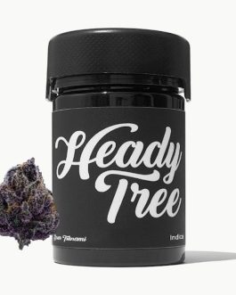 Heady Tree | Sour Tsunami | 5g| indica