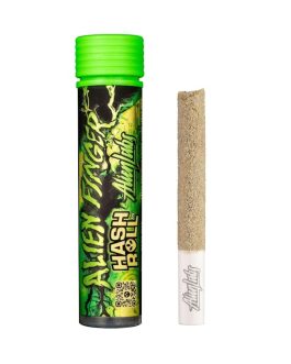 Alien Labs
Dark Web X Xerbacio X KryptoChronic | Infused Pre Roll | 1g
