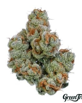 Green Truck
***Truck Club Member Exclusive*** - Garbage Pail Bandits Ounces | Indica