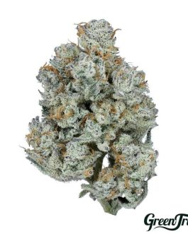 Green Truck|
 Small Bud  – Tricho Jordan 3.5g hybrid