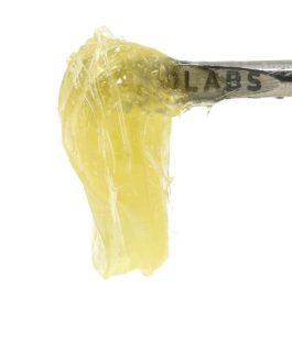710 Labs
Grease Bucket #9 | Rosin | Fresh Press | Persy | 1g