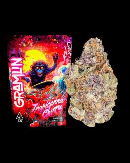 Gramlin
Tropicanna Cherry 3.5g Flower |sativa