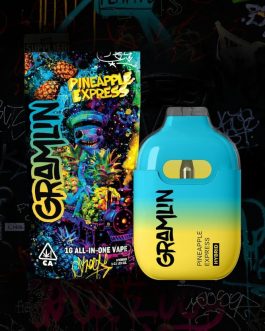 Gramlin
Pineapple Express 1g All-In-One Vape | hybrid